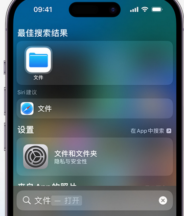 郊区apple维修中心分享iPhone文件应用中存储和找到下载文件 